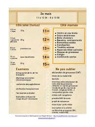 Epingle Sur Grossesse Mon Bullet Journal