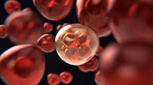 If you think you might have a bone tumor, see your doctor as soon as possible for diagnosis and treatment. Laboratory Test Aimed At Distinguishing Breast Cancer From Benign Tumors