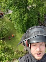 McLaren Tree Surgery