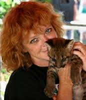 Jan Ferguson Art for Sale