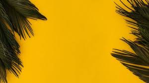 Download the free graphic resources in the form of. Mona Mhmmed Ersheefmona Profile Pinterest