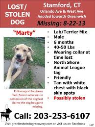Your lost or found pet will be posted to this page. Missing In Ct Ri Ny Granite State Dog Recovery Facebook Losing A Dog Black Skin Spots Terrier Mix