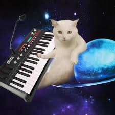 The Face You Make When Someone Refers To Vocoder As Auto Tune Catsonsynthesizersinspace Cosis Cat Cats Synthesize Galaxy Cat Space Cat Cats And Kittens