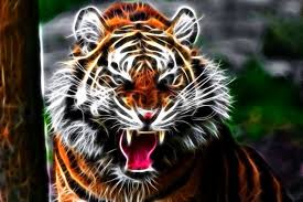 Fonds D Ecran Tigre Fauve Voir Rictus Museau Dents 3d Graphiques Animaux Gratuits Desktop Photo 323652 Graphique Animal Animaux Tigre