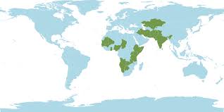 Image result for Schoenoplectiella roylei