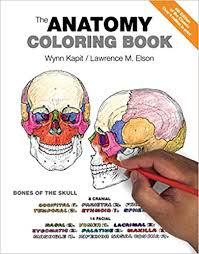 More than 5.000 printable coloring sheets. Anatomy Coloring Book The 2 Downloads 4 Wynn Kapit Elson Lawrence M Amazon Com
