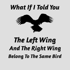 A Tale of Two Wings: The Parable of the Bipartisan Avian