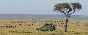 When Is The Best Visiting Time To Go To Masai Mara In Kenya ...