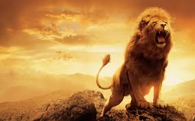 1 attributes 2 history 2.1 creation of narnia 2.2 winter. Aslan Narnia Desktop Wallpaper Pixelstalk Net