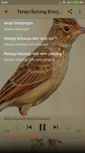 Gratis untuk komersial tidak perlu kredit bebas hak cipta. Kicau Burung Branjangan Gacor For Android Apk Download