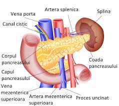 Apare de obicei brusc, fara simptome care sa o prevesteasca. Abcesul Pancreatic Si Peripancreatic