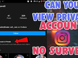 Jun 03, 2021 · technically yes, there are multiple ways to view a private instagram account. How To See Private Account Photos On Instagram Without Following No Survey Android And Ios Salu Network