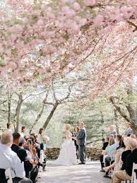 Georgia Wedding With Cherry Blossoms Elizabeth Anne Designs The Wedding Blog Cherry Blossom Wedding Dress Blossom Tree Wedding Cherry Blossom Wedding