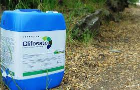 Glyphosate, the key ingredient in monsanto's roundup herbicide, is the most widely used herbicide in the world. Glifosato No Entra A Mexico Agriculturers Com Red De Especialistas En Agricultura