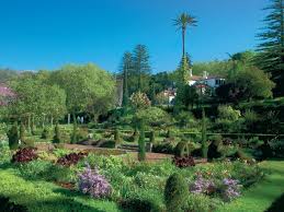 Palheiro Gardens Madeira Island Foto Galerie