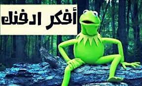 طول بالك شوي funny arabic quotes arabic funny funny jokes