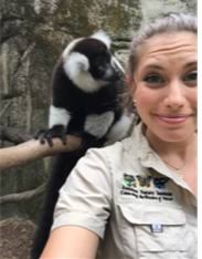 Simon Lailvaux's website