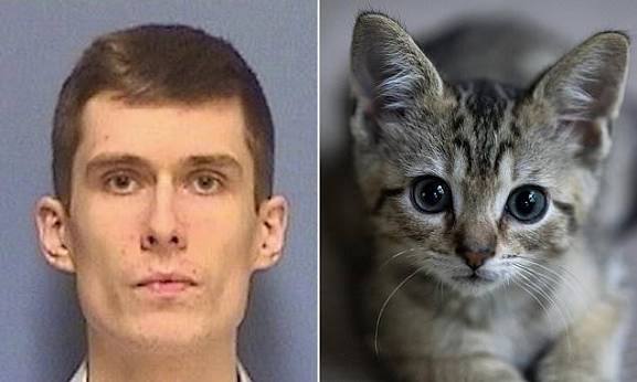 Dead-eyed kitten killer who microwaved baby cats for fun is freed after just  a DAY behind bars, sparking outrage in his old neighborhood