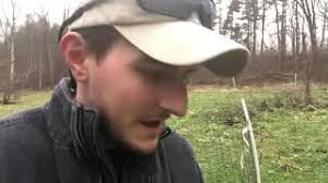 No Till Food Plot Update