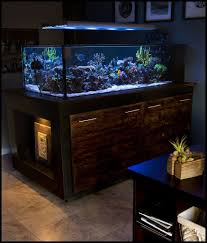 We did not find results for: Fs Urbanek S 250 Reef Central Online Community Modern Fish Tank Aquarium Fish Tank Saltwater Aquarium Setup