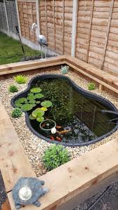 Above Ground Koi Pond 2 Ponds Backyard Indoor Water Garden Backyard Landscaping