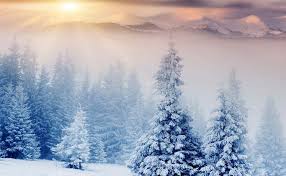 Dacă vă hotărâți să faceți un. Horoscop 17 Ianuarie 2019 Sagetatorii Risca Sa Se Enerveze Din Orice