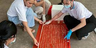 Maybe you would like to learn more about one of these? Dari Pantat Pria Ini Dokter Keluarkan Cacing Pita Sepanjang 17 Meter Halaman All Kompas Com