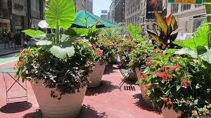 Larger outdoor planters to create stunning visual displays in your outdoor living space. Commonly Asked Questions About Large Outdoor Planters