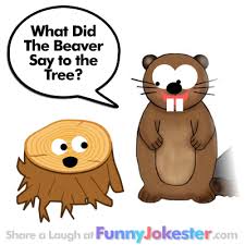 New Funny Beaver Joke Laugh At Funny Animal Jokes Funny Animal Jokes Animal Jokes Jokes