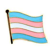 Marjorie taylor greene placing a sign outside her capitol office proclaiming there are two genders, following rep. Transgender Flag Enamel Pin Badge