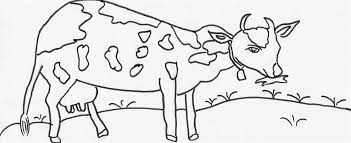 Cow coloring page created date: Cow Coloring Page