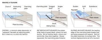 How Are Tsunamis Generated Earth 501 Contemporary Controversies In The Earth Sciences Plate Tectonics Subduction Zone Tsunami