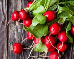 Maybe you would like to learn more about one of these? How To Grow Radishes