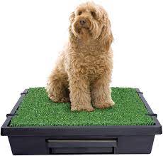 Which one to choose disposable pads or washable pads? Amazon Com Petsafe Pet Loo Portable Dog Potty Alternative To Puppy Pads Medium Litter Boxes Pet Supplies