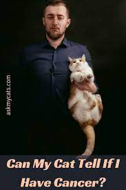 Cancer in cats is less common than cancer in dogs. Do Cats Know When You Are Sick How Do They Know