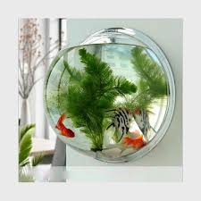 Wooden fishbowl display vase pot planter stand plant pot display stand (10.50) 4.2 out of 5 stars 44. Kf 1 Gallon Clear Acrylic Hanging Wall Mounted Fish Bowl Aquaponic Tank Aquariums Plant Fish Bubble Aquariums Fish Bowls Pet Supplies Snowrobin Jp