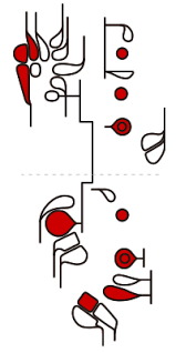 how to play the bassoon bassoon fingering chart musical