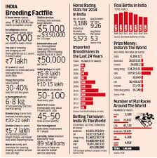 How much money does it cost to get a horse? Prices Of Horses Plunge 40 60 Since 2012 On Oversupply Of Foal Stock And Lower Demand The Economic Times