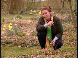 Ratgeber haus & garten ist ein kostenloses informationsportal rund um das thema haus und garten. Ard Ratgeber Heim Garten April 2003 Aus Dem Garten Grone Youtube