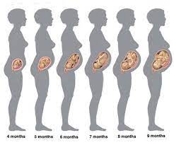 Beberapa ibu hamil yang sakit perut juga bisa menjadi petunjuk adanya penyakit pada bagian reproduksi. Milo Halia Kenapa Bayi Kerap Mengeras Facebook
