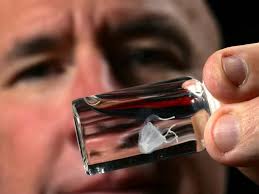 Deadly Irukandji jellyfish are