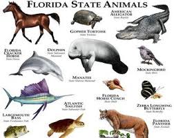 Etsy Your Place To Buy And Sell All Things Handmade Official State Animals Animal Posters Animal Habitats Animals