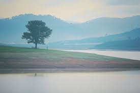 Image result for cÃ´ Ä‘Æ¡n
