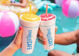 28 Substantial Fees Every Tropical Smoothie Cafe Franchisee Needs To Know