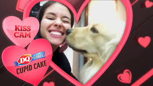 Watch as they get into all kinds of mischief in this live feed brought to you by the washington animal rescue league. Animal Planet On Twitter We Loved Your Puppybowl Dairyqueen Kiss Cam Videos See If Yours Made It To Puppy Bowl Xiii Https T Co Xf78bvsdfm Promo Https T Co Hv59h6tu2x
