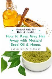 How To Keep Grey Hair Away With Mustard Seed Oil Henna Mustard Oil For Hair Mustard Seed Oil Natural Hair Oils