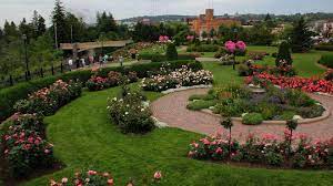 Maybe you would like to learn more about one of these? Finding Minnesota At Duluth S Rose Garden Thousands Of Vibrant Flowers Are Uniquely Situated On Lake Superior S Shore Wcco Cbs Minnesota
