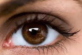 7 manusia yang memiliki mata cantik, unik dan menyeramkan di dunia. Fakta Unik Dan Menarik Mengenai Mata Manusia Yang Wajib Anda Baca