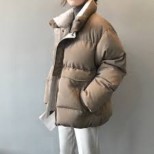 Taylor Collar Pillow Padded Panel Puffer Jacket Asteria