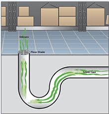 House and found a petroleum smell coming from the basement floor drain. Stop Smelly Sewer Gas Odors Caused By Dried Out P Traps In Unattended Floor Drains Brodi Specialty Products Ltd